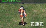 花蓮花