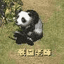 戦闘老師